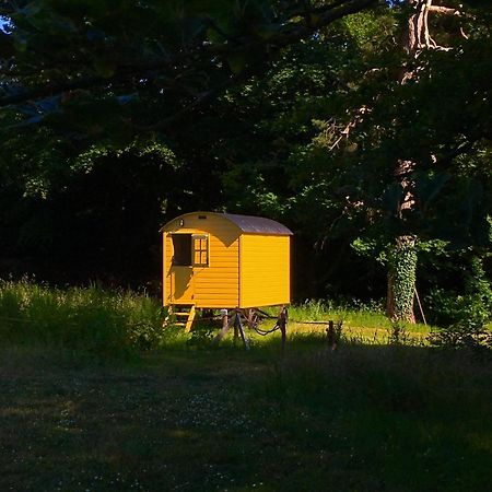 Blackstairs Shepherds Huts Killedmond Luaran gambar