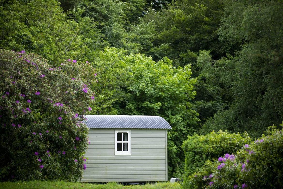 Blackstairs Shepherds Huts Killedmond Luaran gambar