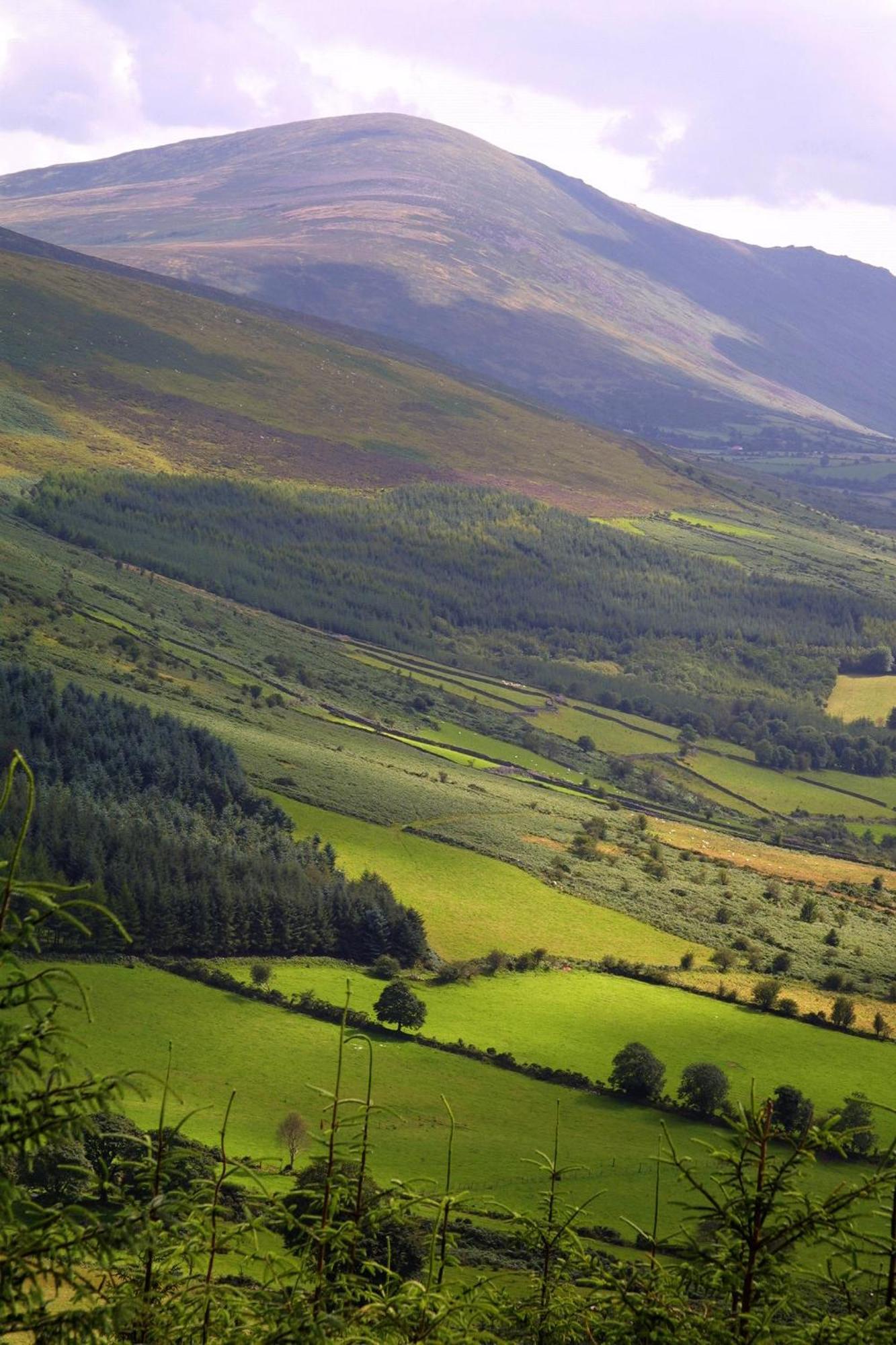 Blackstairs Shepherds Huts Killedmond Luaran gambar