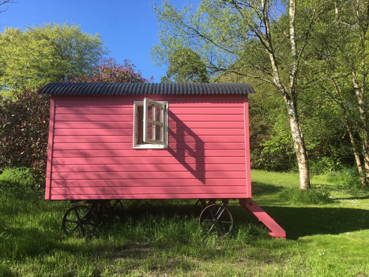 Blackstairs Shepherds Huts Killedmond Luaran gambar